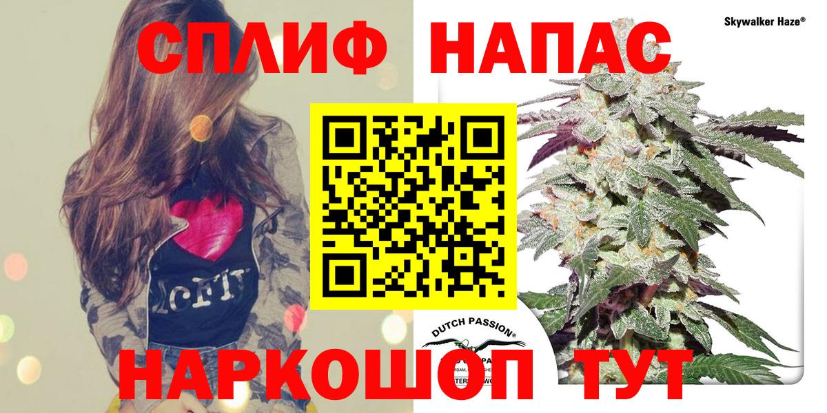Бошки Шишки планчик  Вход с VPN  Марихуана OG Kush  Иркутск  Бошки Шишки ГИДРОПОН 